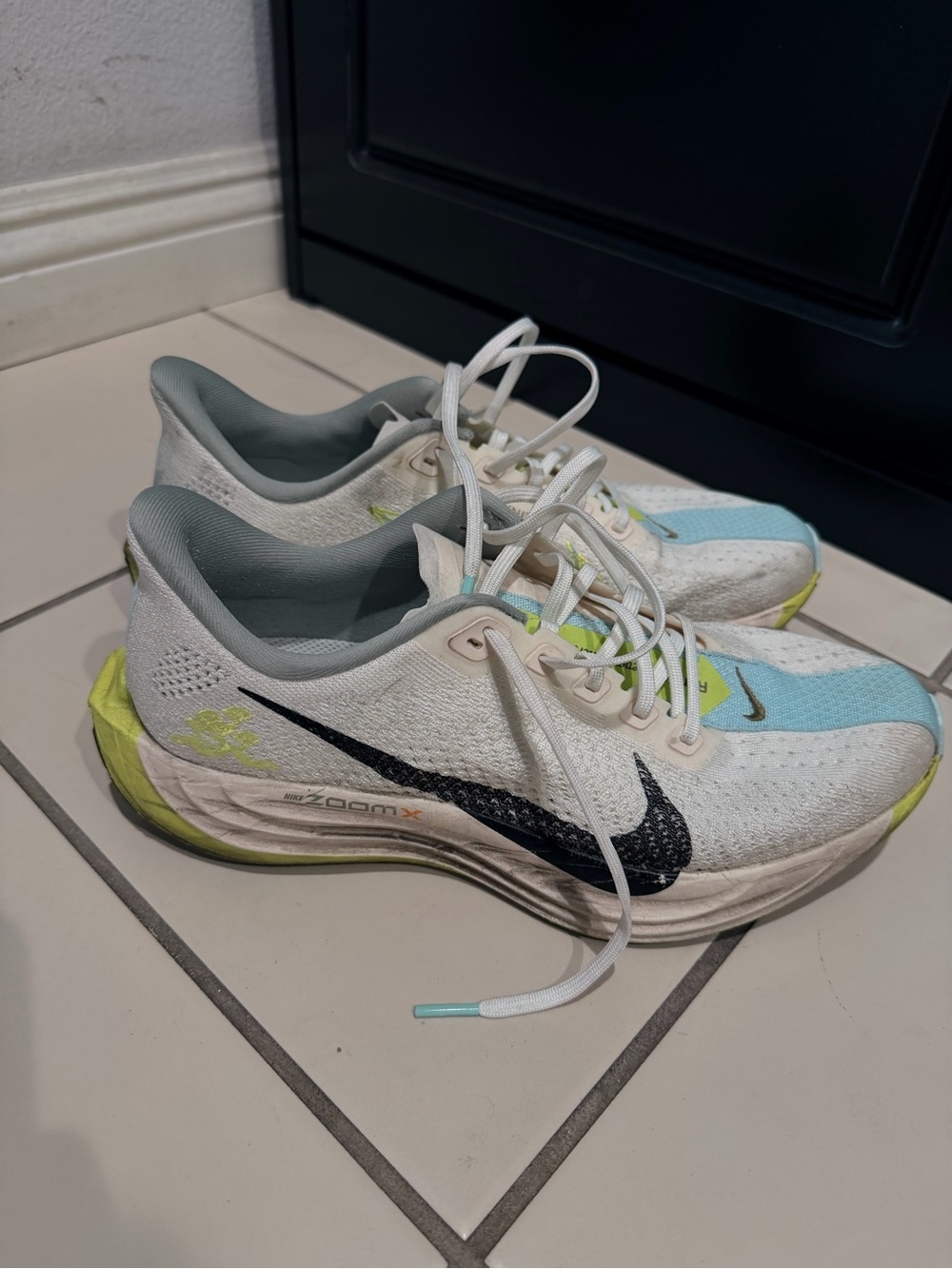 Nike Pegasus Plus NextX Nature Running Shoes Size 8